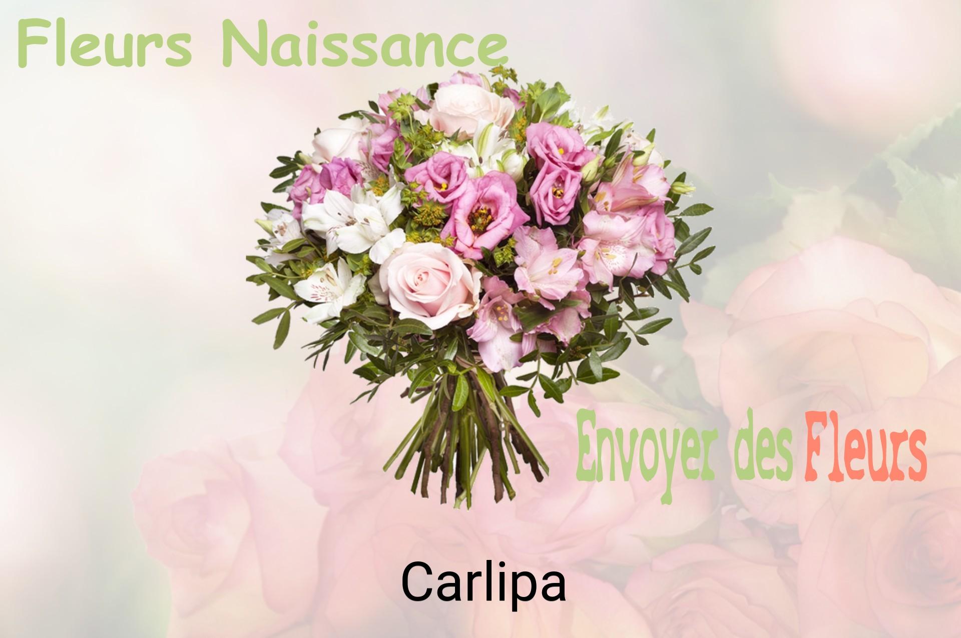 Bouquet de fleurs de naissance livré à Carlipa